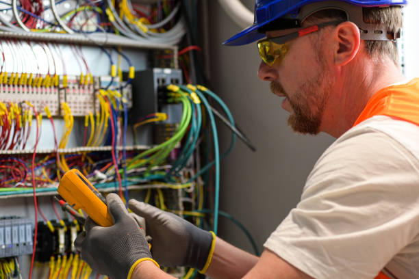 Best Electric Panel Repair  in Lake Winnebago, MO